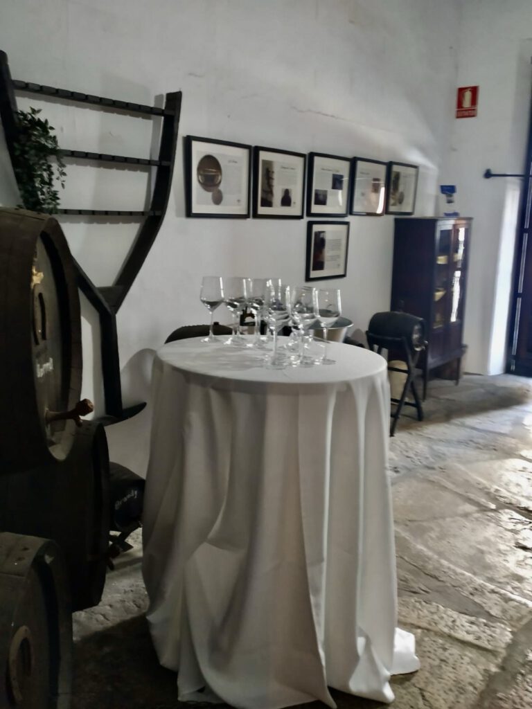 Comunión 18 de Mayo 2025