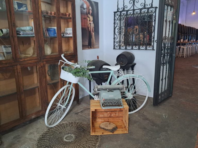 Cumpleaños de Miguel